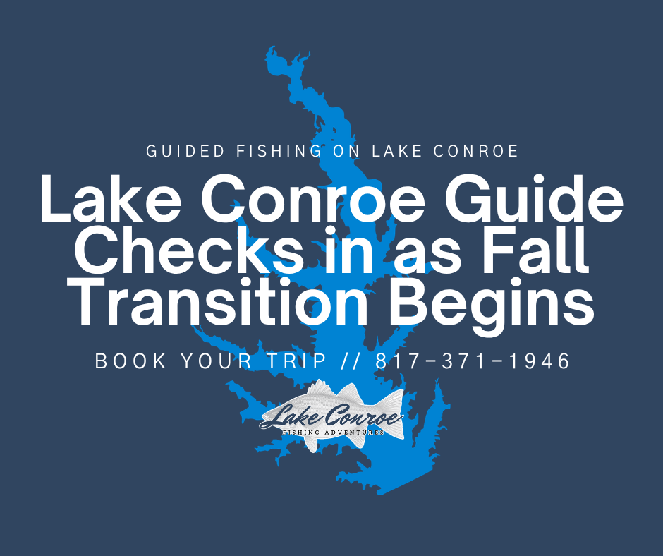 Lake Conroe guide checks in as fall transition begins
